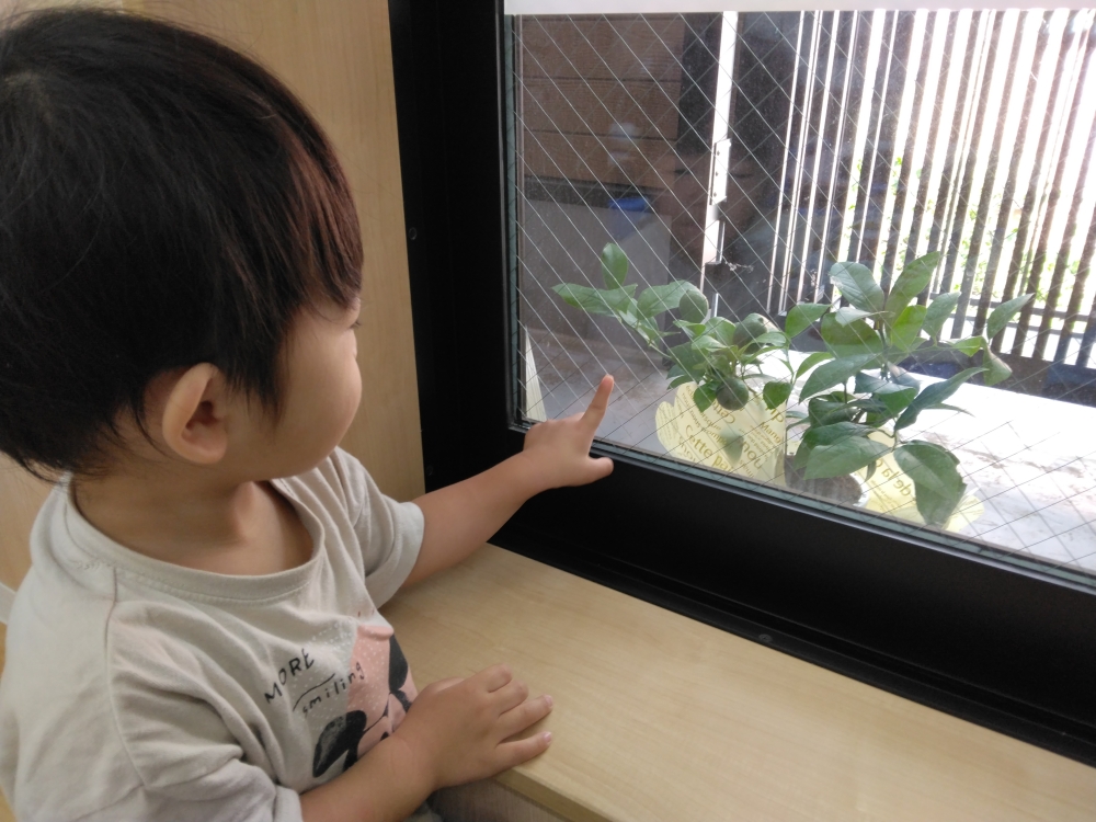 令和7年度すくわくプログラム