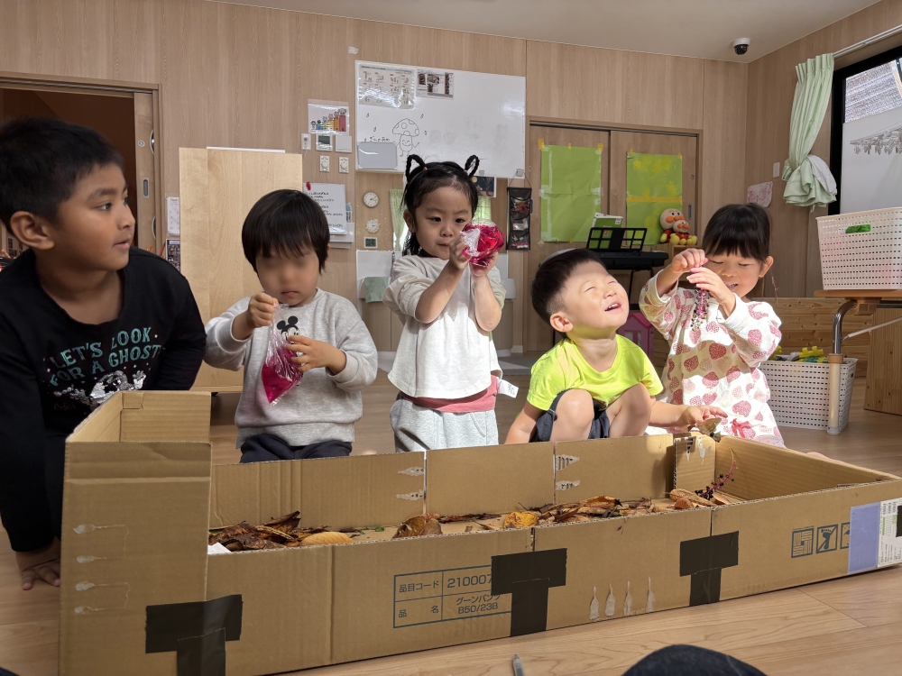 R7 すくわくプログラム④『自然』