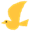 すくわく報告